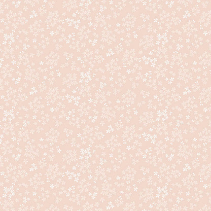 Wintersweet - Pale Peach