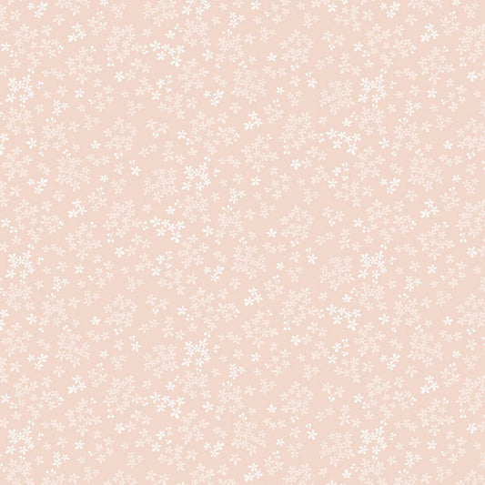 Wintersweet - Pale Peach