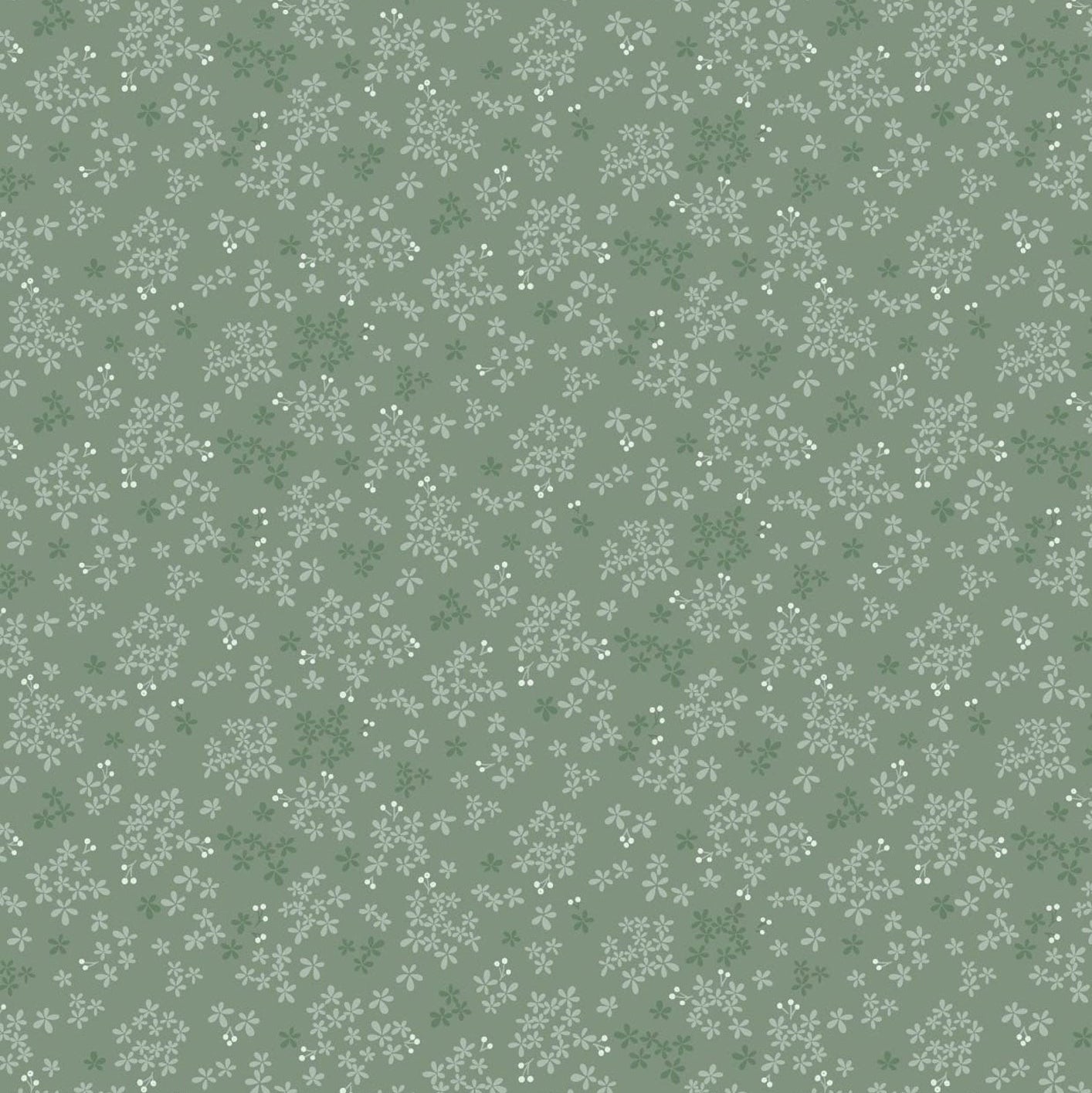 Wintersweet - Green Grey