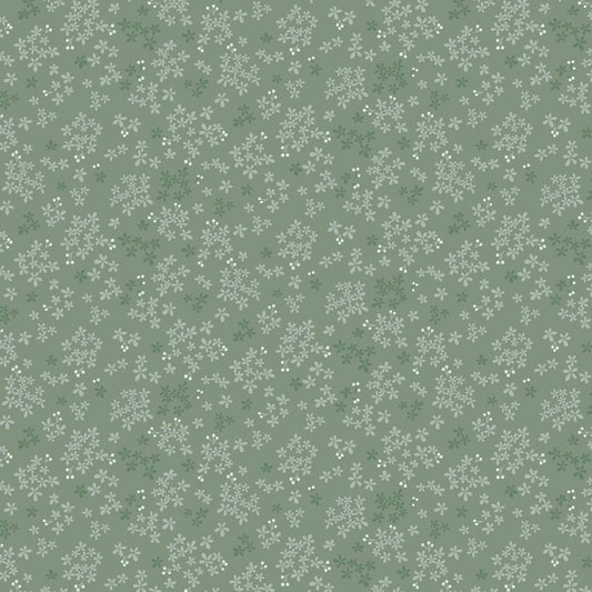 Wintersweet - Green Grey