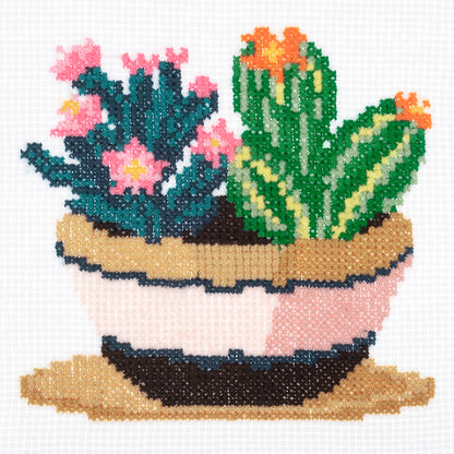 Mini Counted Cross Stitch Kit: Succulence