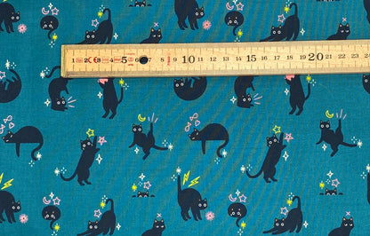 Catwalk - Storytime