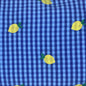 Embroidered Lemon Gingham