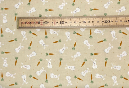 Small things bunnies and carrots