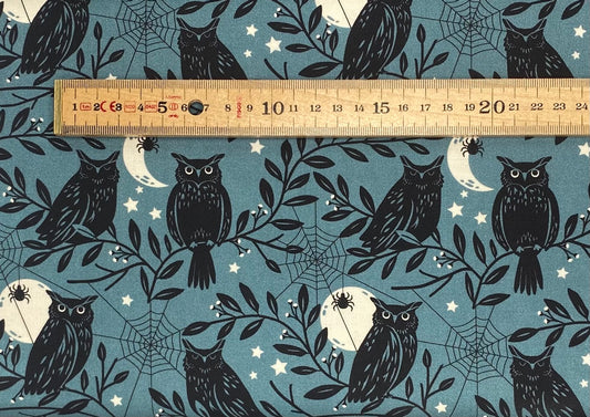 Spellbound - Owl