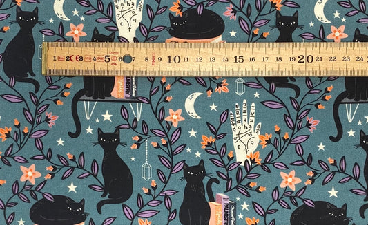 Spellbound - Black Cat