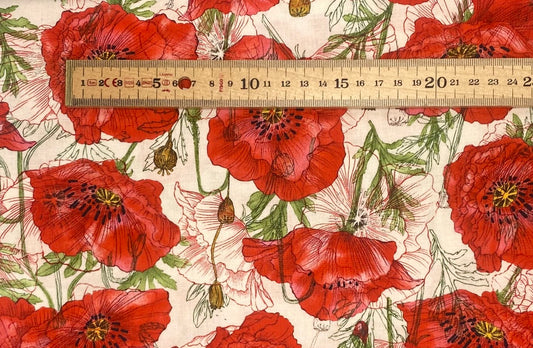 Poppies