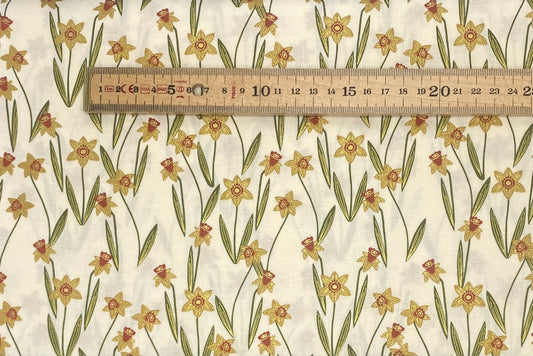Daffodil - Cream