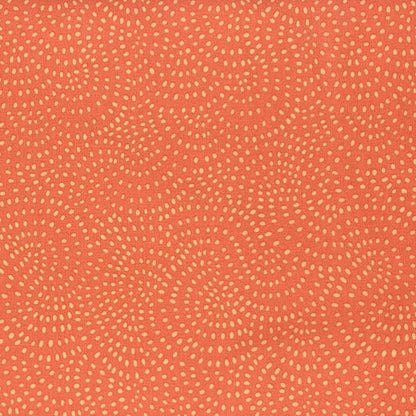Coral - Twist