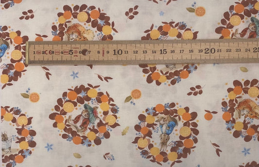 Peter Rabbit - Harvest Wreath