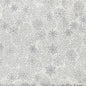 Silver Snowflake