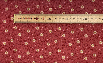 Daisy Dream - Rhubarb