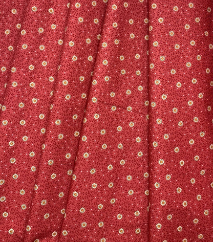 Daisy Dream - Rhubarb