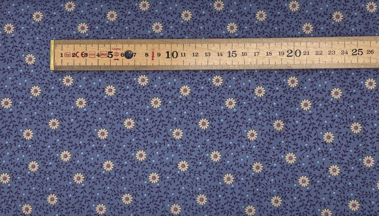 Daisy Dream - Pitch Blue