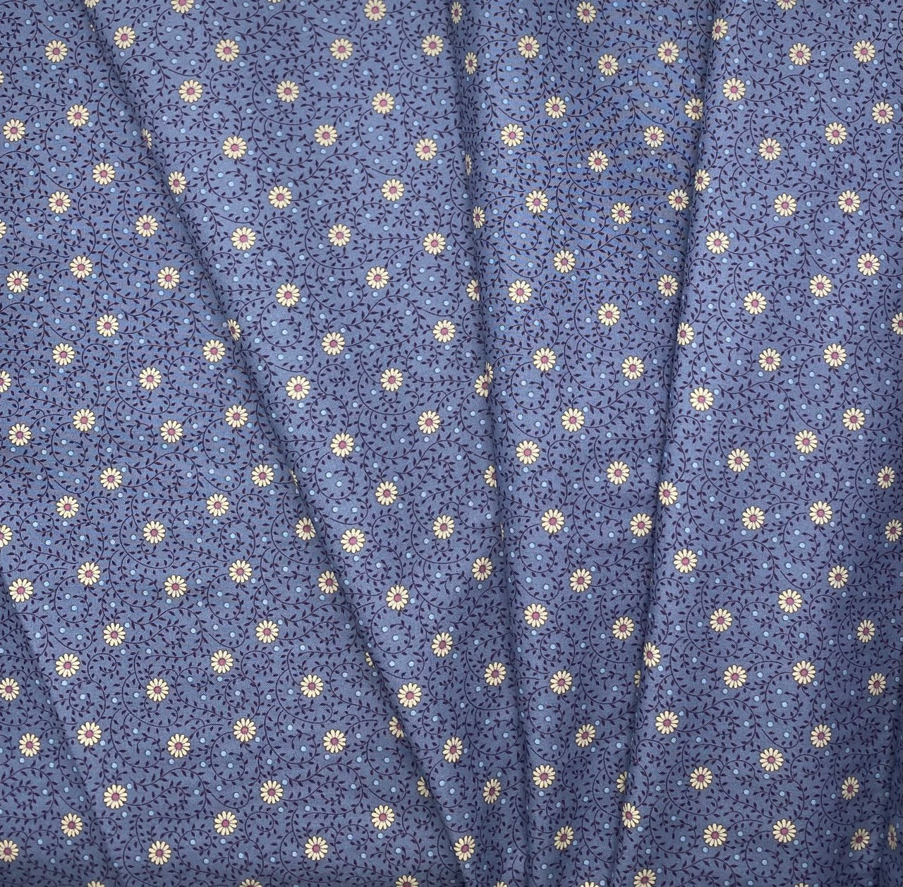 Daisy Dream - Pitch Blue