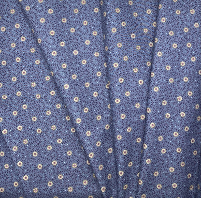 Daisy Dream - Pitch Blue