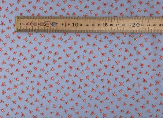 Small Posies - Sky