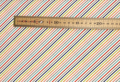 Rainbow Stripe