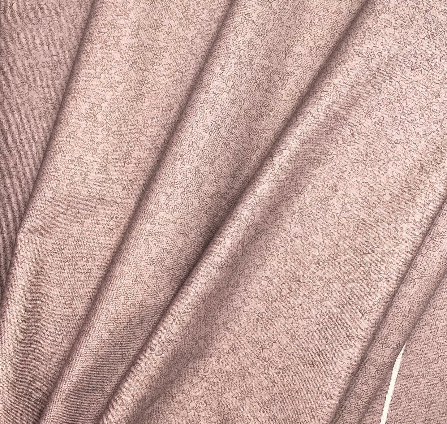 Sketched oak leaves on light brown