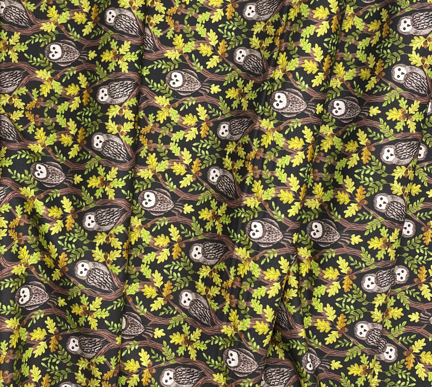 Wise owls on dark oak