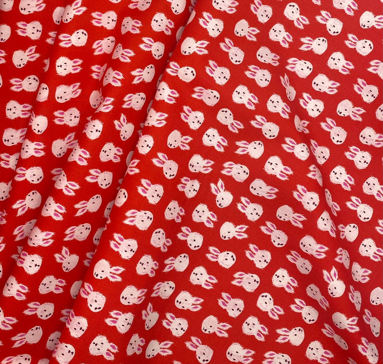 Rushing Rabbit - Ruby