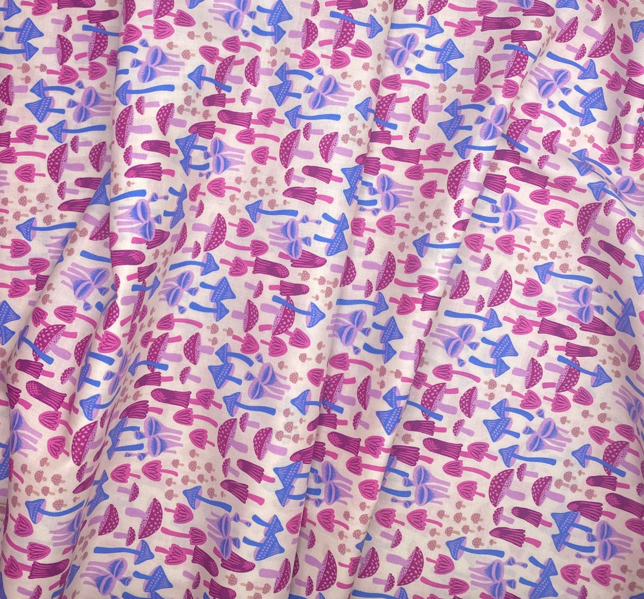 Mushroom Land - Shell