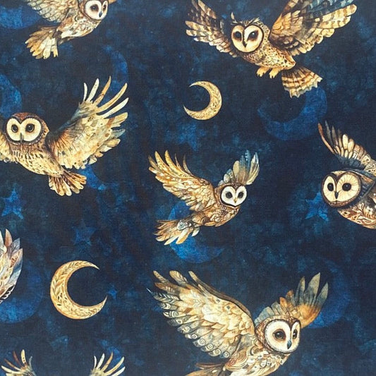 Owls in Navy