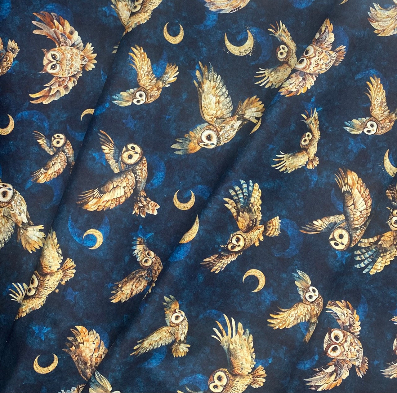 Owls in Navy