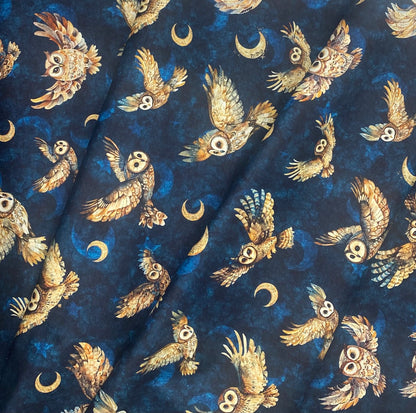 Owls in Navy