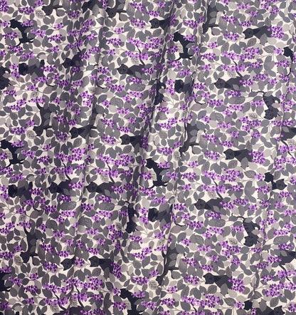 Catnip grey and purples