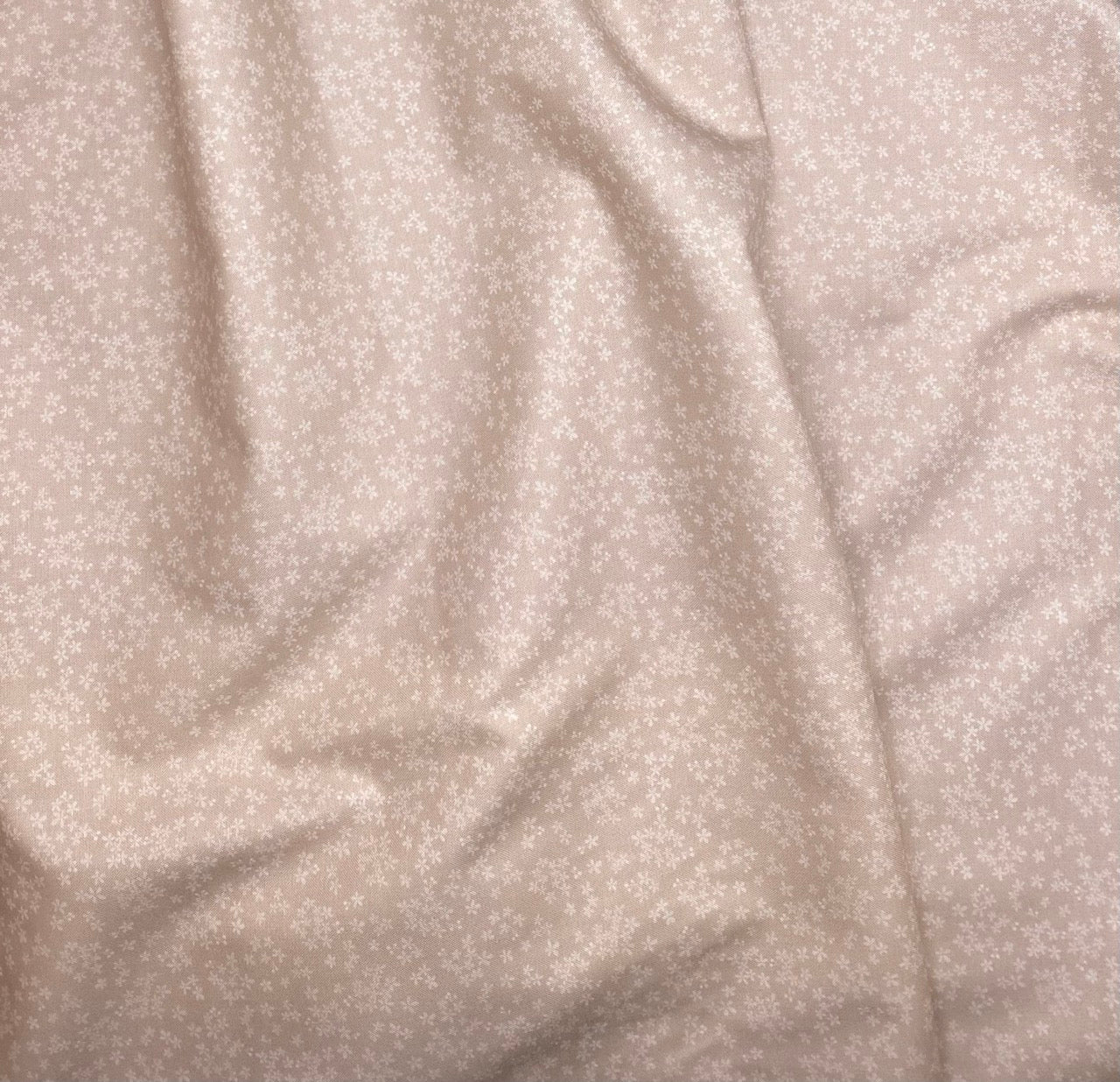 Wintersweet - Pale Peach