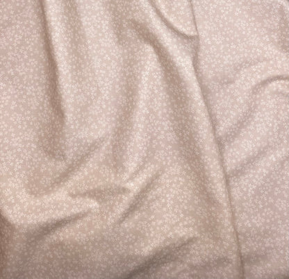 Wintersweet - Pale Peach