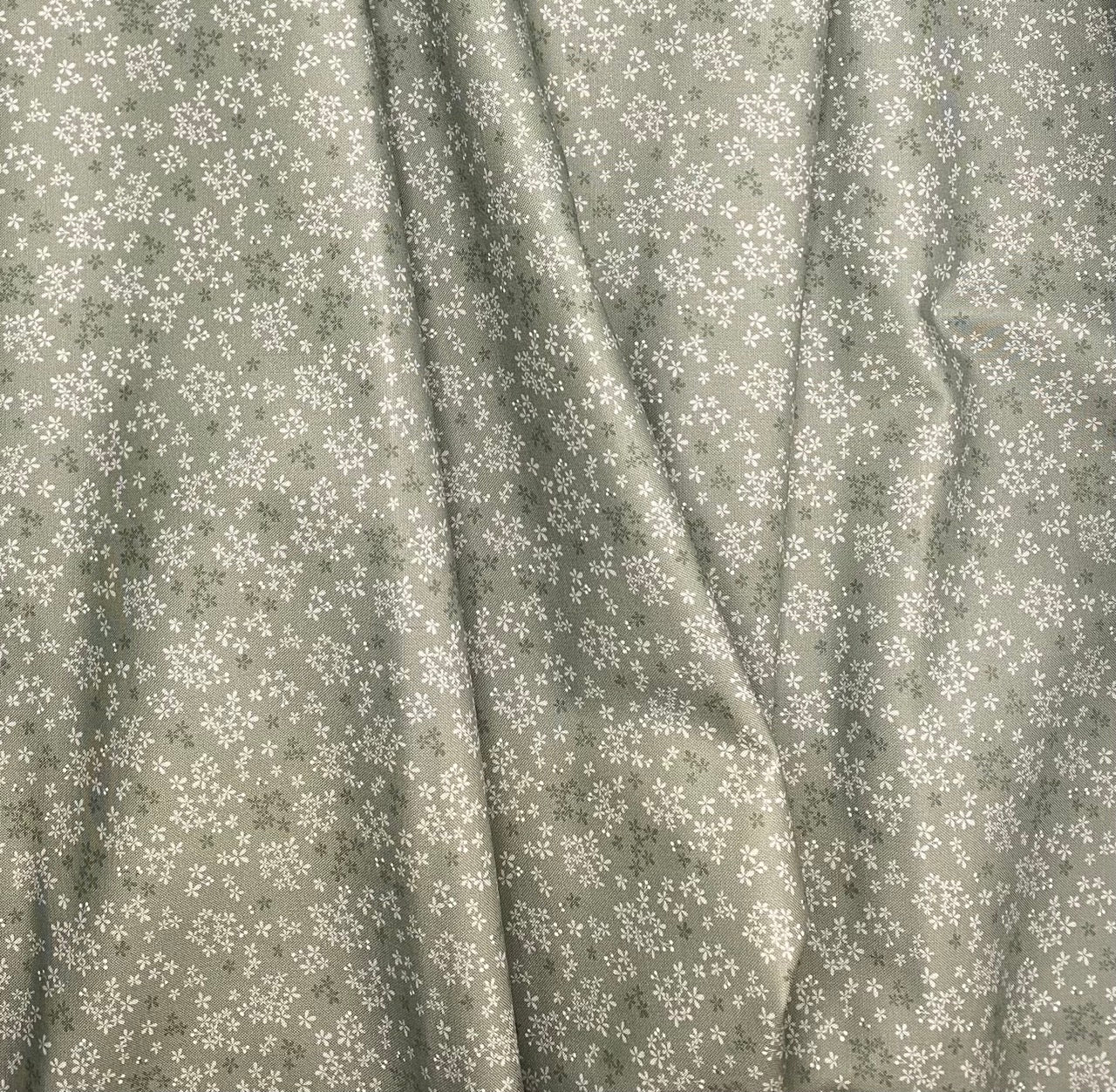 Wintersweet - Green Grey