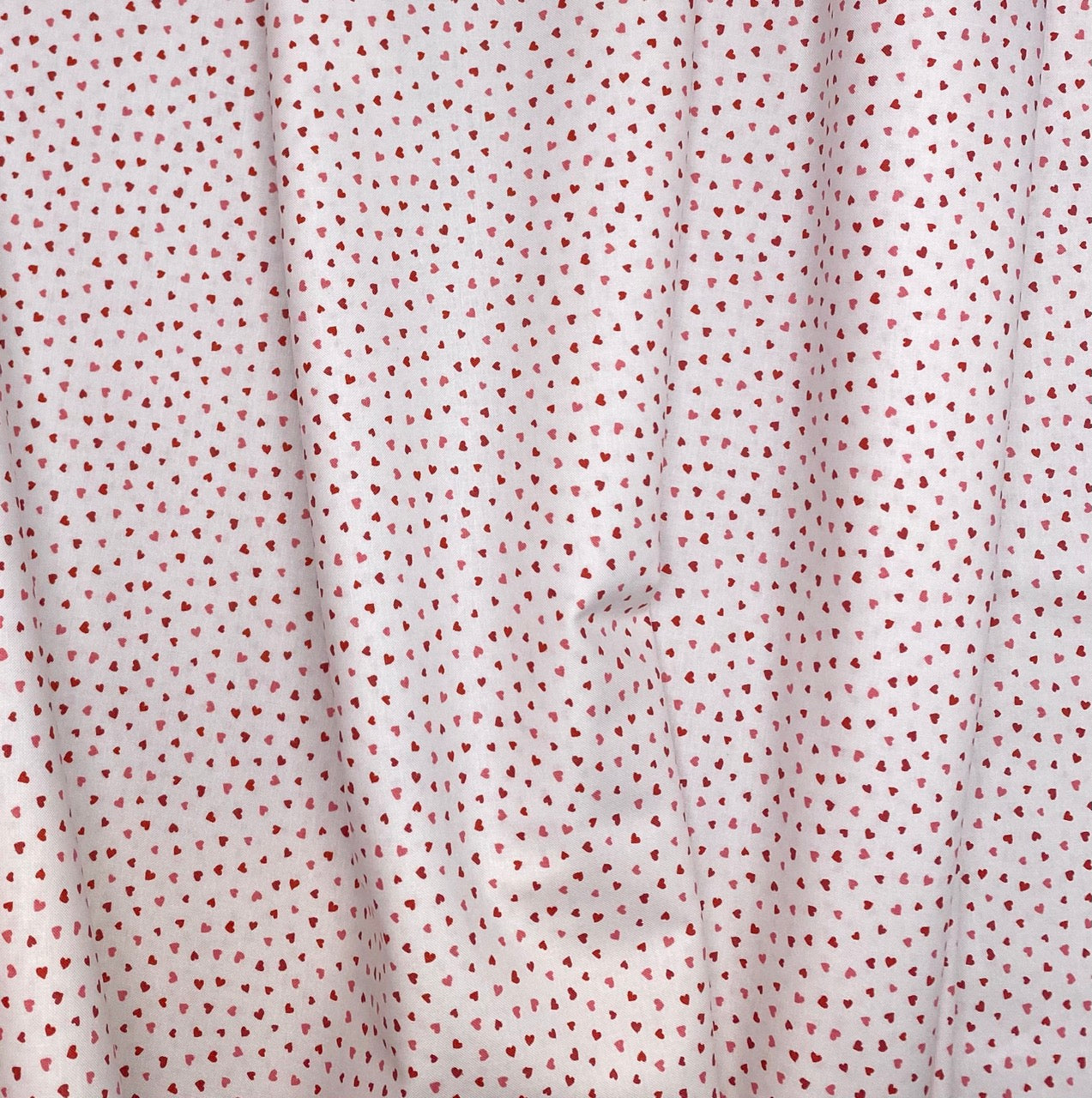 Tiny Hearts - Champagne