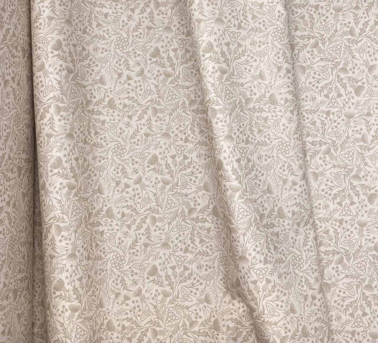 Celtic thistle cream on cream