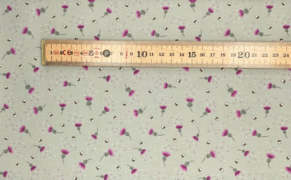 Bee thistle on sage green