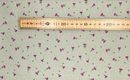 Bee thistle on sage green