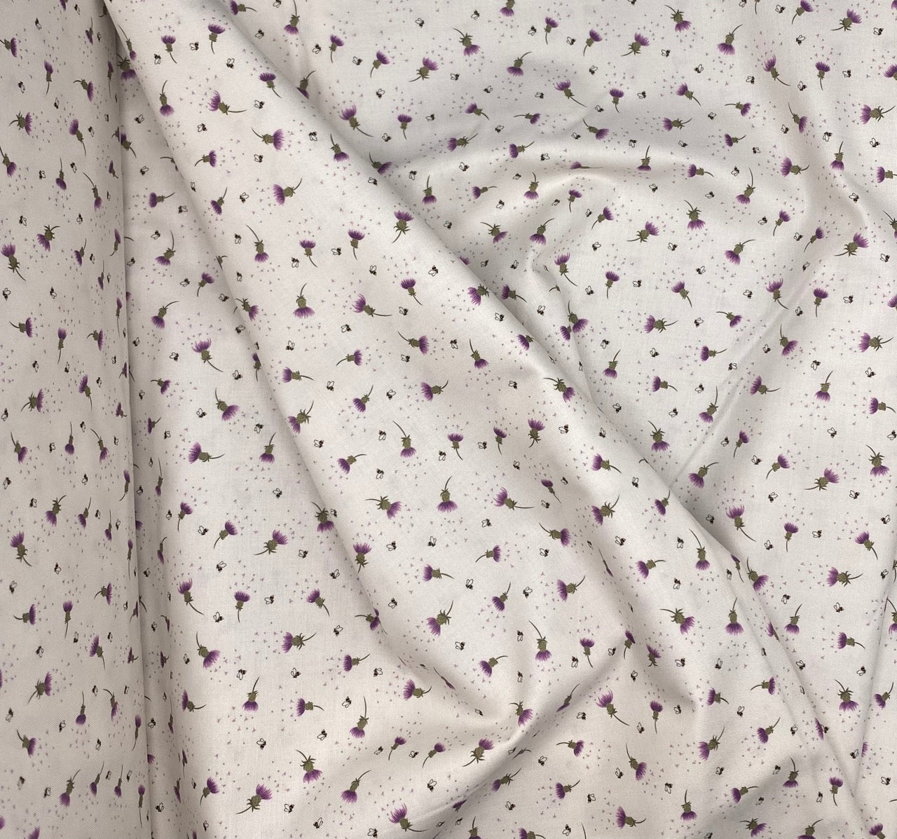 Bee thistle on cream