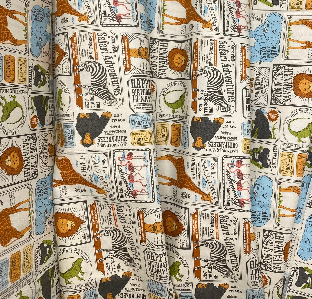 Zoo Newspaper - Dove