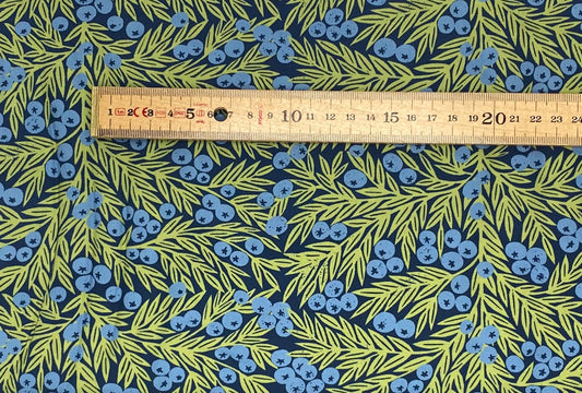 Blueberries on Dark Blue