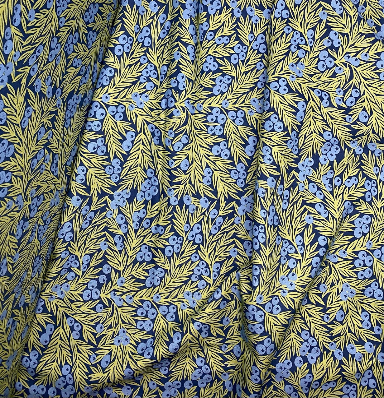 Blueberries on Dark Blue