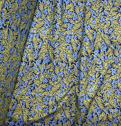 Blueberries on Dark Blue