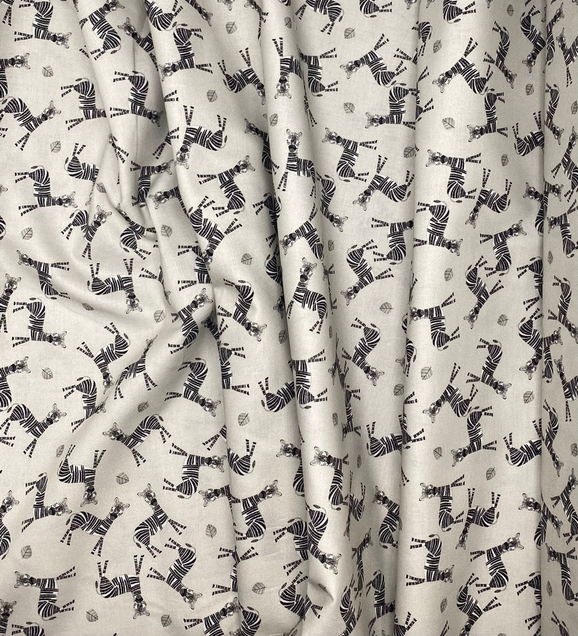 Zebra