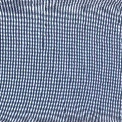 Blue Gingham Check