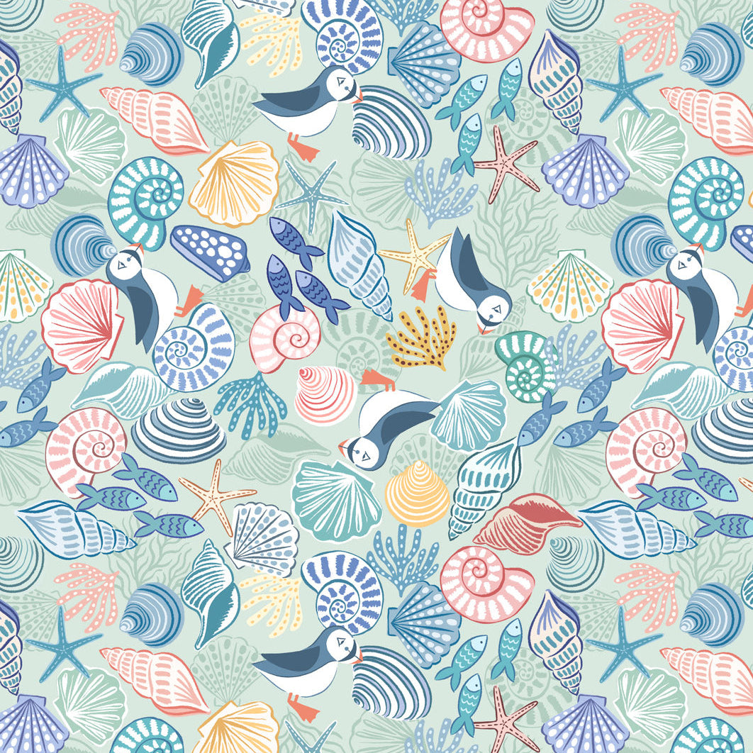 Puffins and shells