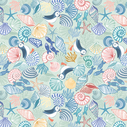 Puffins and shells