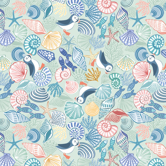 Puffins and shells