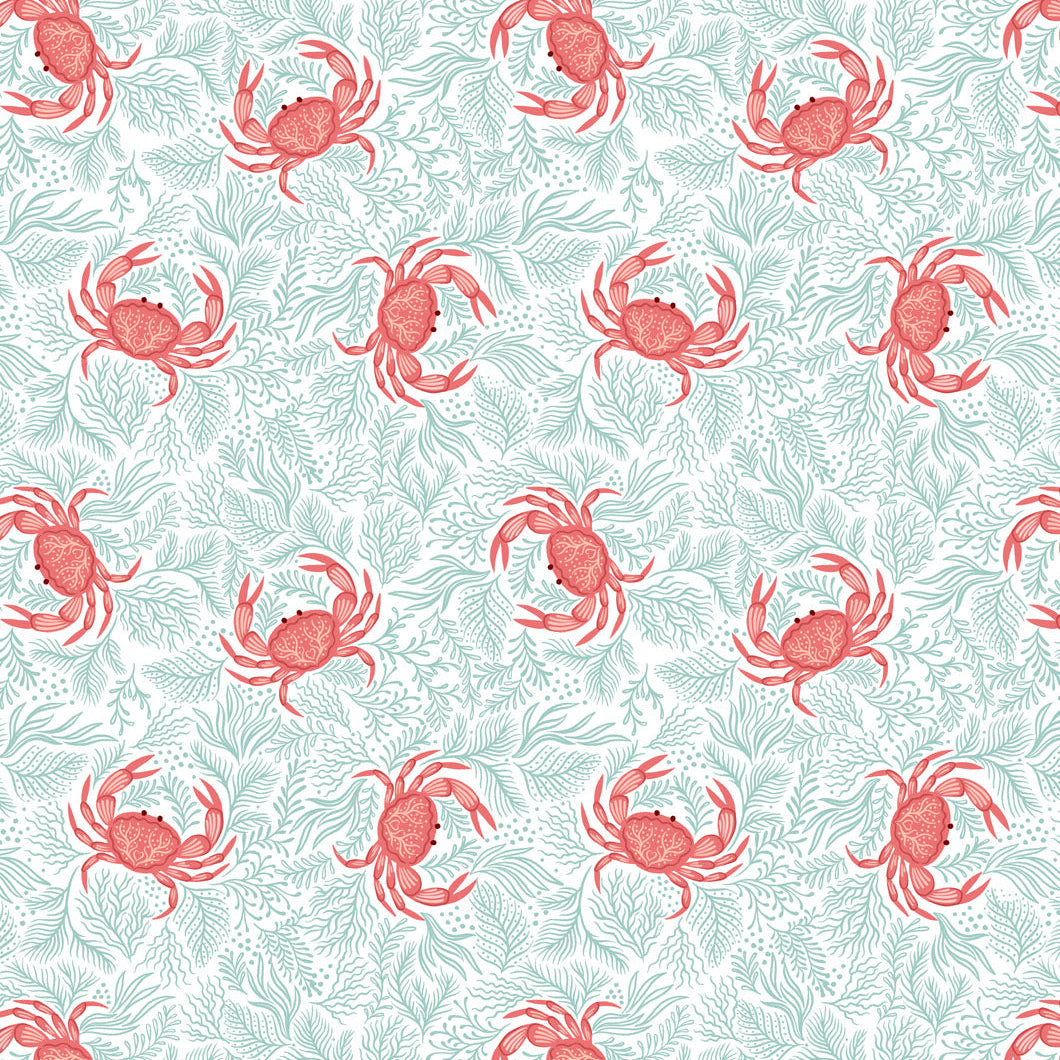 Crabs on seaweed
