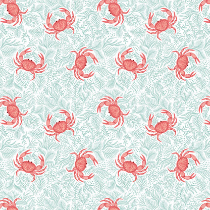 Crabs on seaweed