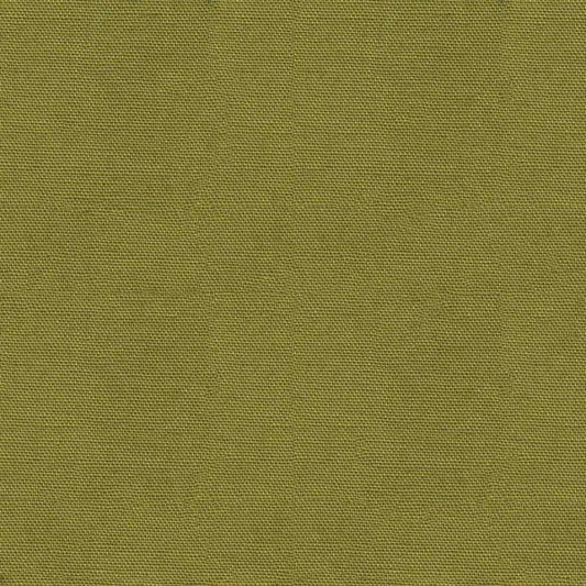 Olive - Pop